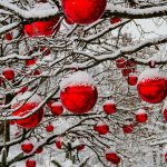 Christmas red ornaments. 5598375. via Pixabay. CC0 Creative Commons. christmas-3009720_1920
